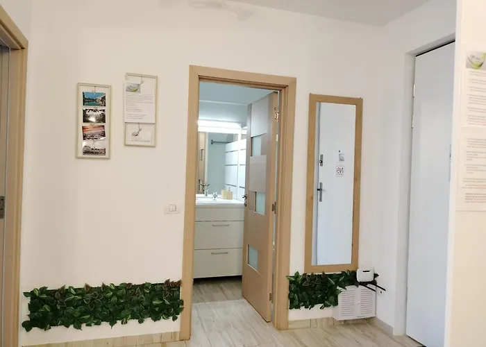 Apartment M Cluj-Napoca